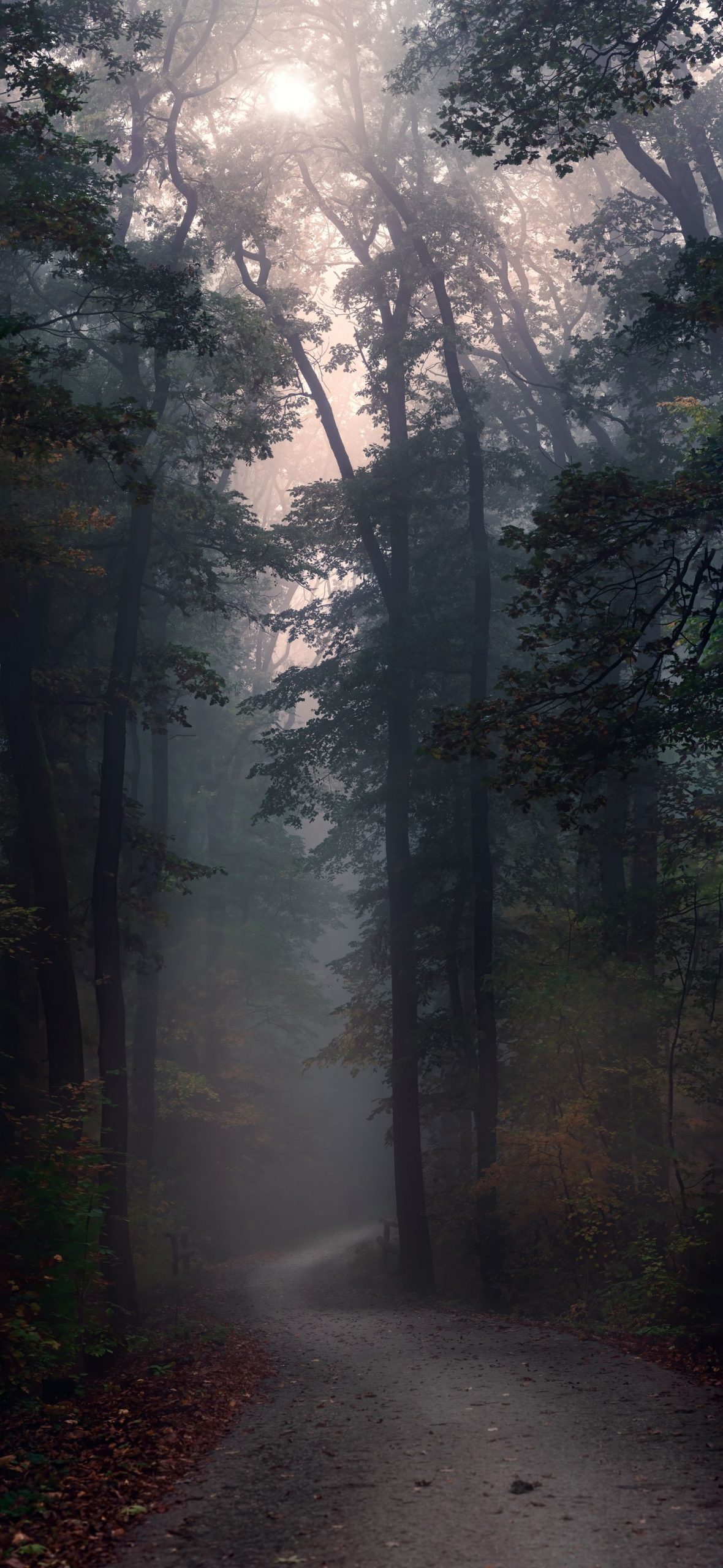 When Learning Tech Feels Overwhelming: Finding Your Way Through Constant Changes